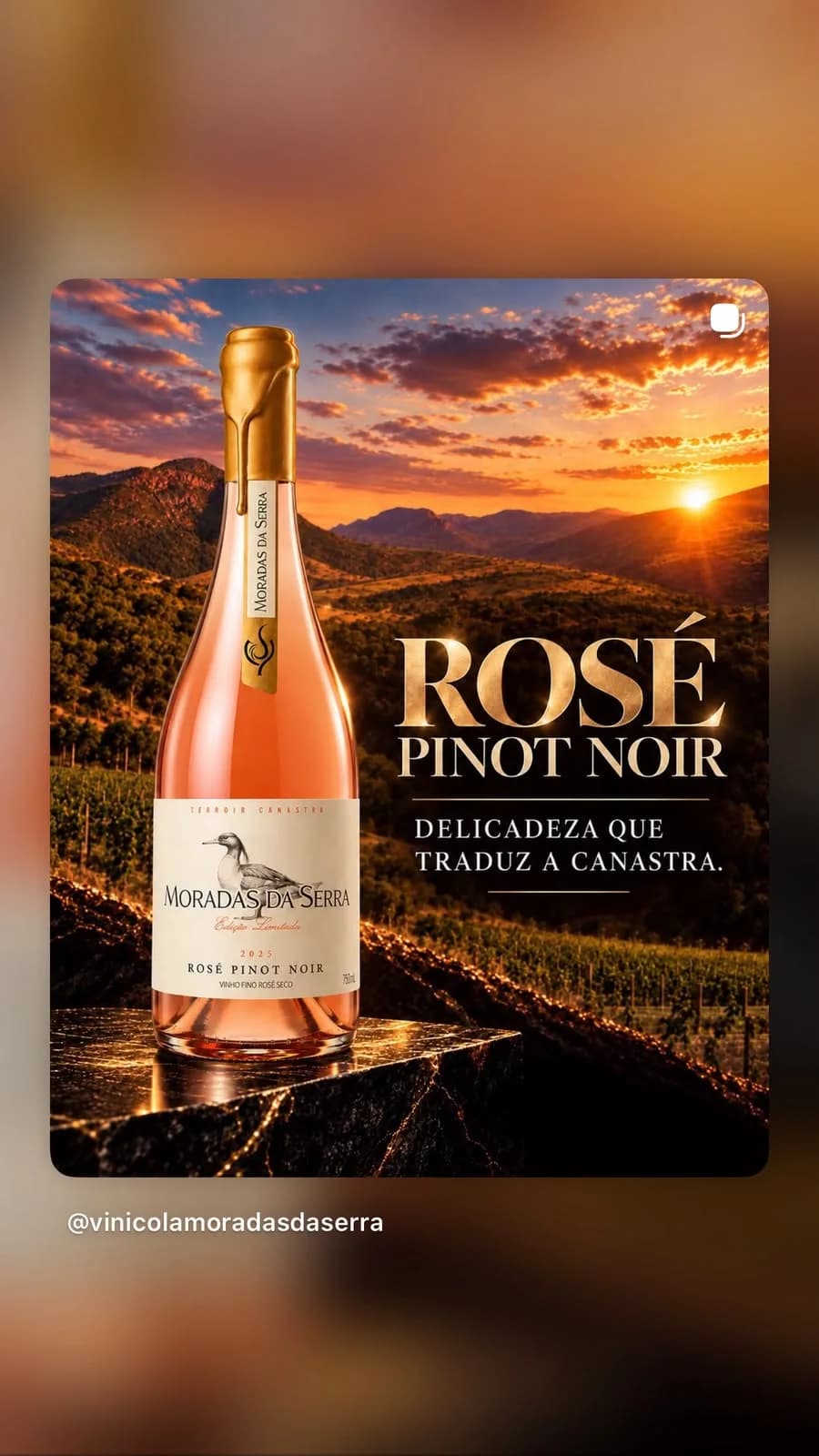 Vinho fino Rosé seco  Pinot Noir  Pato Mergulhão