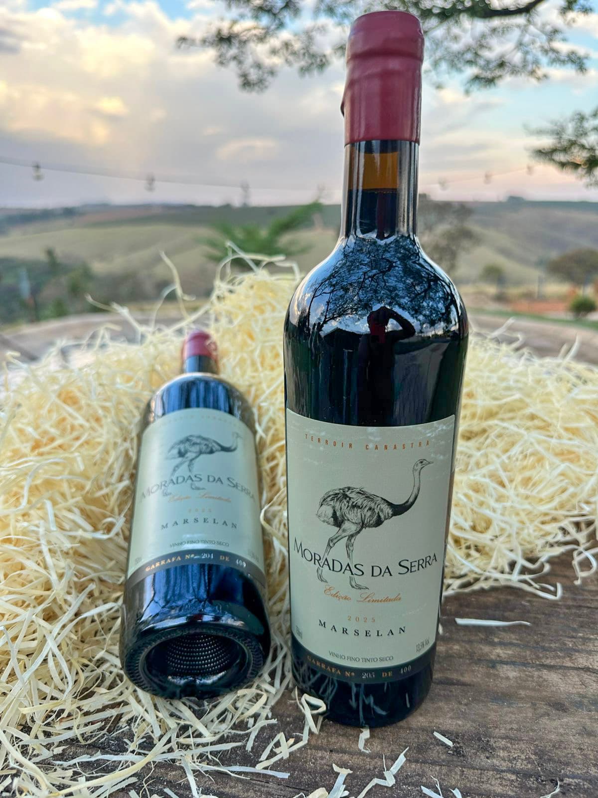 Vinho Tinto Seco Marselan Ema