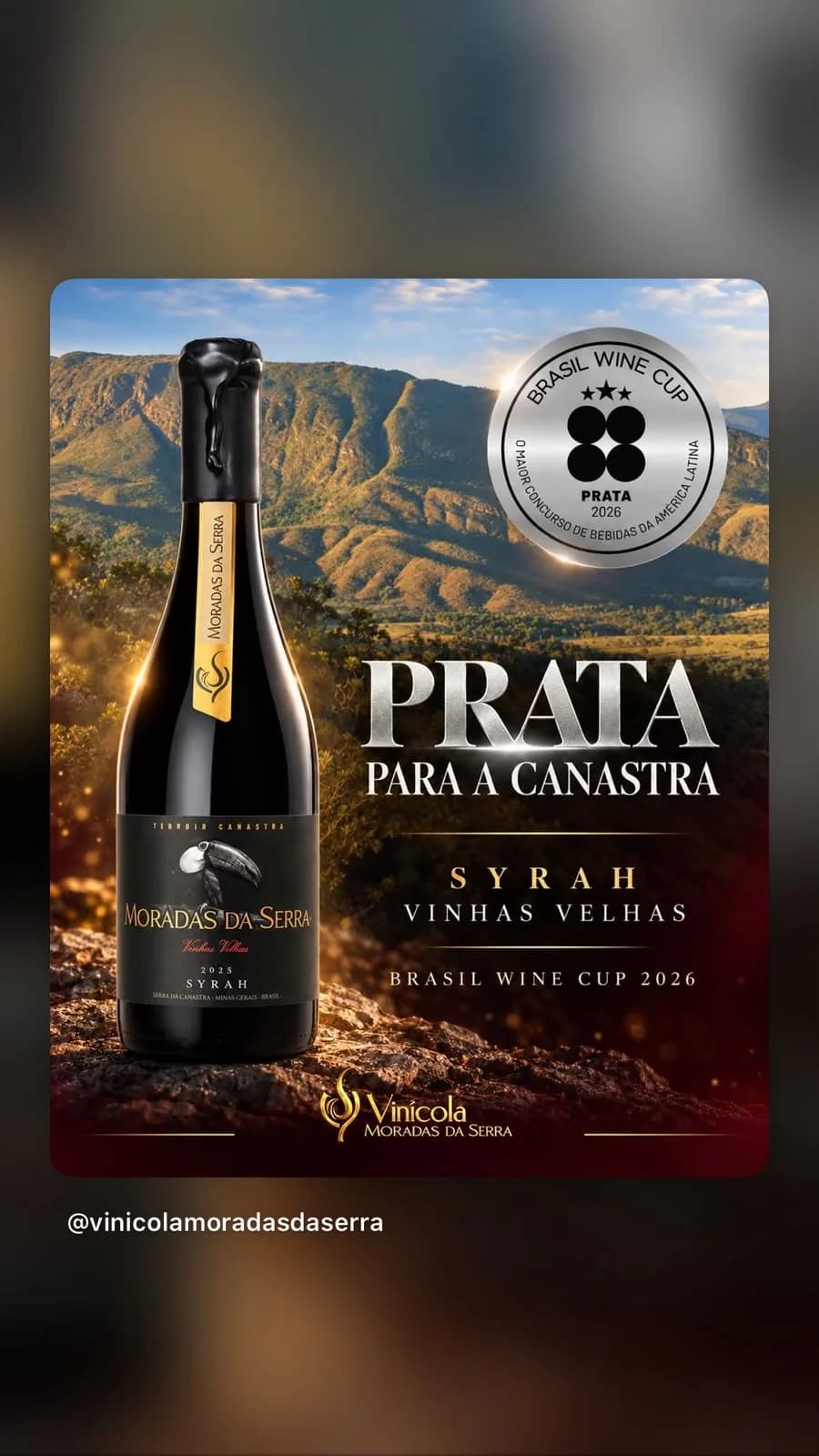 SYRAH VINHAS VELHAS TUCANO