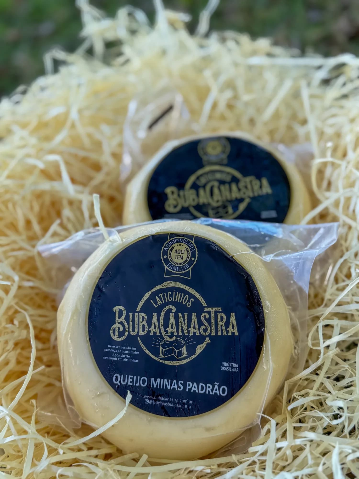 Queijo Minas Padrão
