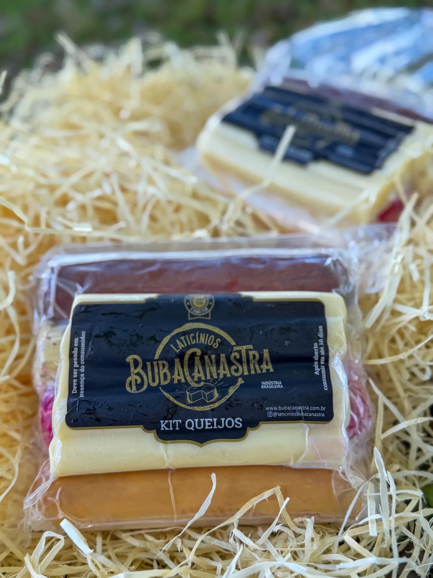 Queijo Kit Provoleto com Palito