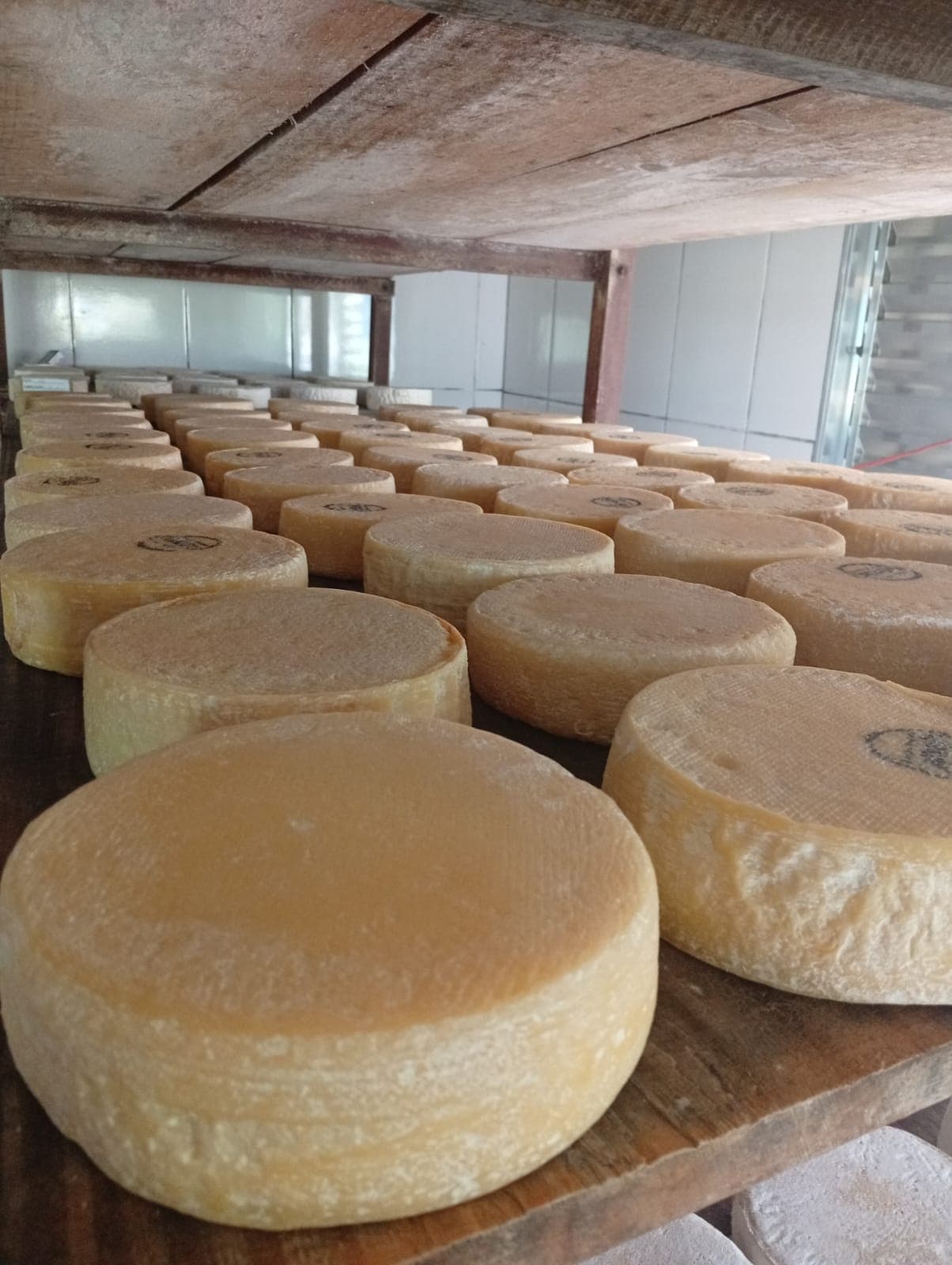 Queijo Canastra do Onésio — foto 4 de 4