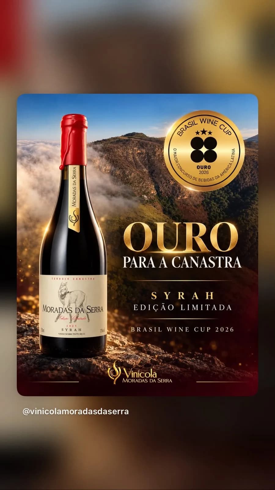 Vinho Syrah Lobo Guara
